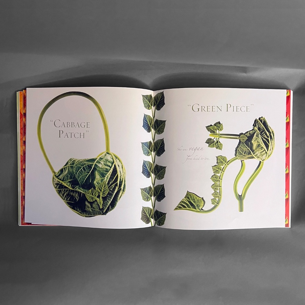 Shoe Fleur, Coffee Table Book - Picture 8 of 15
